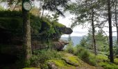 Tocht Stappen Allarmont - Balades féeriques des roches  - Photo 12