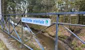 Trail Walking Gouvy - Gouvy 23 km  - Photo 2