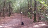 Trail On foot Heusden - Vlijmens Ven - Photo 5