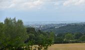 Randonnée Marche Eupen - 20220627 - Barrage Eupen 7.6 Km - Photo 15