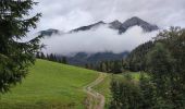 Excursión Senderismo Gemeinde Scheffau am Wilden Kaiser - Hintersteinersee - Photo 8