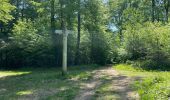 Tocht Stappen Compiègne - en Forêt de Compiègne_50_les Routes des Beaux Monts, de Morpigny et des Nymphes - Photo 15