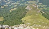 Trail Walking Saint-Jacques-des-Blats - Puy Griou depuis le Col de Font de Cère - Photo 20