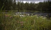 Trail On foot Unknown - Stenugnsleden - Photo 5