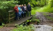 Tocht Stappen Sainte-Ode - Lavacherie - Photo 8