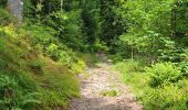 Trail Walking La Bresse - boucle la Bresse - lac des corbeaux - rocher du lac - Ã©tang de sechemer - la Bresse  - Photo 18