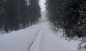 Trail Walking Charix - lac genin - Photo 3
