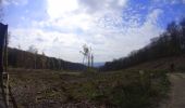 Trail Mountain bike La Roche-en-Ardenne - La_Roche_en_Ardenne_20210430_100431 - Photo 8