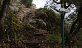 Trail Walking Le Pouzin - Balcon de l'Ouvèze  - Photo 11
