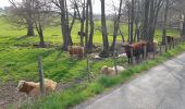 Excursión Senderismo Lentilly - Santier des vaches LENTILLY  - Photo 4