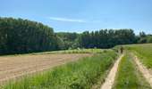Trail Walking Enghien - Enghien 16 km - Photo 9