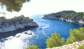 Tour Wandern Cassis - Cassis calanque port pin calanque d'en Vau - Photo 5