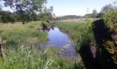 Tour Wandern Lokeren - Anders Reizen 2021 Eksaarde - Moervaart wandeling - Photo 10