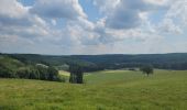 Trail Walking Houffalize - rando ornitho engreu  8-06-2023. - Photo 2