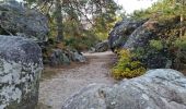 Trail Walking Fontainebleau - Sentier Denecourt 7 - Photo 8