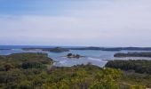 Tocht Stappen Tallone - Corse - Près d Aleria - Etang de Diane - Photo 4