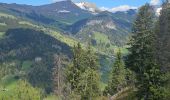 Tocht Mountainbike Le Grand-Bornand - Tour du Danay - Photo 2