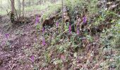 Trail Walking Châtel-Guyon - VALLEE DE SANS SOUCI - CHATEAU DE CHAZERON - Photo 16