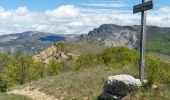 Trail Walking Le Castellard-Mélan - Cretes du castellard et anciens chemins de Sisteron, col de Mounis, église et point de vue de depuis Mélan - Photo 10