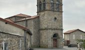 Tour Wandern Chalmazel-Jeansagnière - Au dessus de Chalmazel  - Photo 11