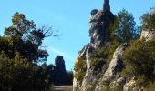 Tour Wandern La Roquebrussanne - 10844300-chapelle st andre ,grotte 400 moutons source oris - Photo 9