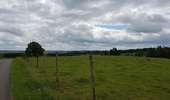 Tour Radtourismus  Lierneux - Arbrefontaine - Toodlermillen - Photo 3