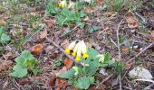 Tour Wandern Les Plans - Les Plans - Plateau du Grézac - Photo 1