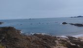 Trail Walking Saint-Malo - la pointe de la Avarde St Malo - Photo 8