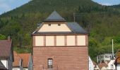 Tour Zu Fuß Lambrecht - Rundwanderweg 1 Lambrecht - Photo 5