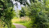 Randonnée Marche Landen - La réserve naturelle De Beemden à Landen - Photo 2