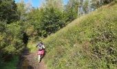 Trail Walking Andenne - Seilles - Balade du chant d'oiseau n° 6 (AD28) - Photo 1