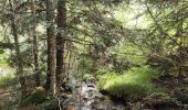 Tour Wandern Chalmazel-Jeansagnière - Au dessus de Chalmazel  - Photo 4