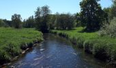 Tour Zu Fuß Sieverstedt - Wanderweg durch das Treenetal - Photo 3