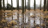 Tour Zu Fuß Erpe-Mere - Den Dotter rood - Photo 8