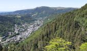 Tocht Stappen Mont-Dore - Première randonnée dans le Sancy - Photo 14