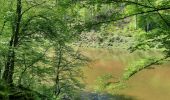 Randonnée Marche Houffalize - lac de Nisramont  - Photo 17