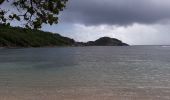 Tocht Stappen La Trinité - La Breche Granjean-Morne Pavillon en boucle  - Photo 18