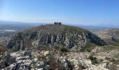 Tour Wandern Torroella de Montgrí - Castel de mont gris variante - Photo 9