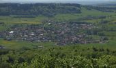 Tocht Te voet Kalbach - Extratour Haubentour - Photo 10