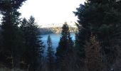 Tour Zu Fuß Besse-et-Saint-Anastaise - Le puy de Montchal et le Lac Pavin - Photo 3