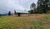 Percorso Cavallo Lutzelhouse - Boucle Wisches Sentier des Geants Colbery - Photo 1