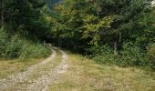 Trail Walking Prats-de-Mollo-la-Preste - La Preste - Col de Siern  - Photo 1