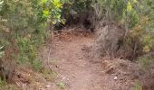 Excursión Senderismo Fréjus - Col du Testanier - le mont vinaigre - Photo 4