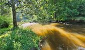 Tour Wandern Hohenfels - Balade à Houffalize - Photo 12