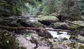 Randonnée Marche Charquemont - boucle autour des échelles de la mort - Photo 2