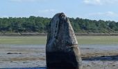 Tour Wandern Plobannalec-Lesconil - GR34  Lesconil. -- Pont l'abbé  - Photo 3