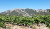 Tour Wandern La Roque-Alric - Dentelles de Mont Miraille - Photo 9