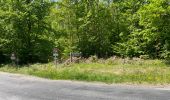 Randonnée Marche Compiègne - en Forêt de Compiègne_50_les Routes des Beaux Monts, de Morpigny et des Nymphes - Photo 6