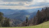Trail Mountain bike Fréland - Voirimont Barlin Chamont - Photo 4