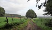 Trail Walking Huldenberg - #191230a - Ottenburg, Rondebos & St Agatha-Rodebos - Photo 4